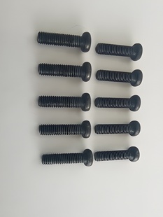 Phillips Skruv M3x10mm (10) i gruppen RADIOSTYRD BIL / Reservdelar / WL Delar hos Rynosx4 Hobbyshop AB (WL1914)