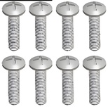 Phillips Skruv M2x8mm (8)