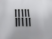 Phillips Skruv M3x20mm (10)