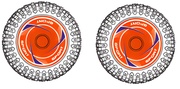 Däck & Fälg Bak Orange (2)