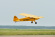 Black Horse Piper Cub 1950mm GP/EP ARTF (Uppdaterad) Black Horse Piper Cub 1950mm GP/EP ARTF (Uppdaterad)