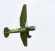 Westland Lysander 35cc 1/6 2540mm GP/EP ARF Westland Lysander 35cc 1/6 2540mm GP/EP ARF