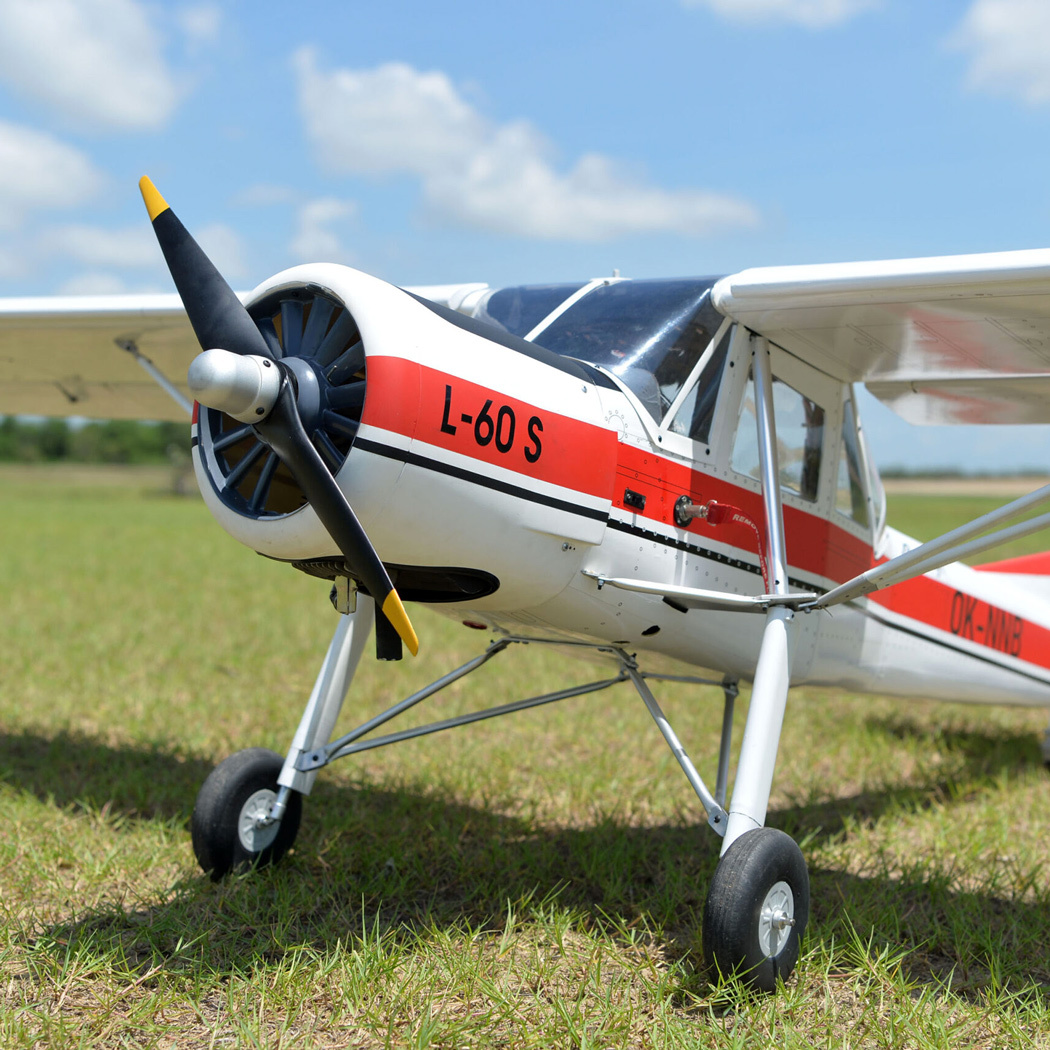 Black Horse L-60 Brigadyr 30-35cc Gas 2668mm ARF