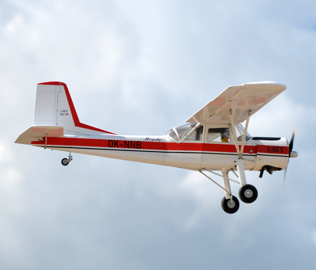 Black Horse L-60 Brigadyr 30-35cc Gas 2668mm ARF