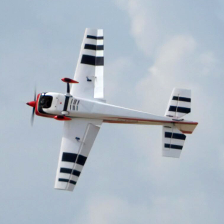 Black Horse Extra 300 76cc 226cm ARF