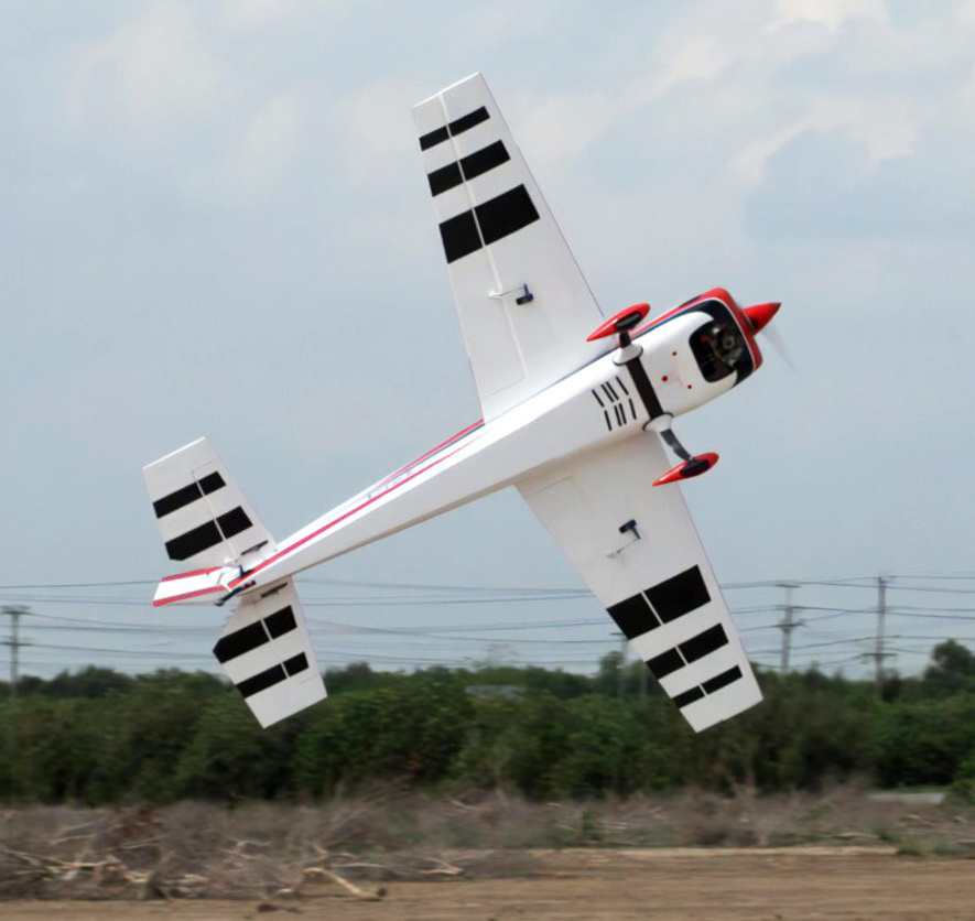 Black Horse Extra 300 76cc 226cm ARF