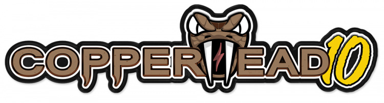 Castle COPPERHEAD 10 ESC, 1410-3800KV Sensor Combo