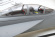 F/A-18F Grå 70mm Fläkt PNP F/A-18F Grå 70mm Fläkt PNP