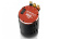 Motor QuicRun 3650SD 10.5T G2 Motor QuicRun 3650SD 10.5T G2