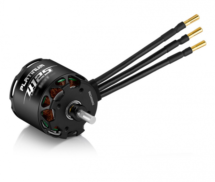 HW Platinum 4125SL 450kV 6S Motor D49.5x77.3mm 93A/2060W/83s