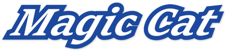 Joysway Magic Cat V6 RTR 2.4G FHSS