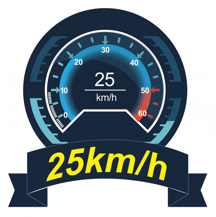 Joysway Mad Shark F1 V3 2.4G RTR Borstad Gul