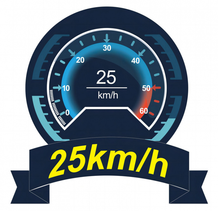 Joysway Wave Warrior V4 2.4GHz RTR