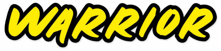 Joysway Wave Warrior V4 2.4GHz RTR