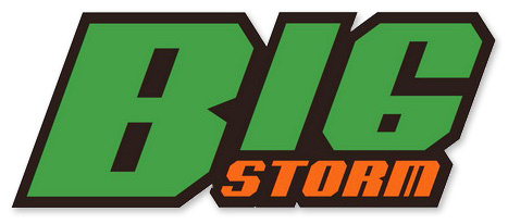 Joysway Big Storm Katamaran BL ARTR utan Batterier & Laddare