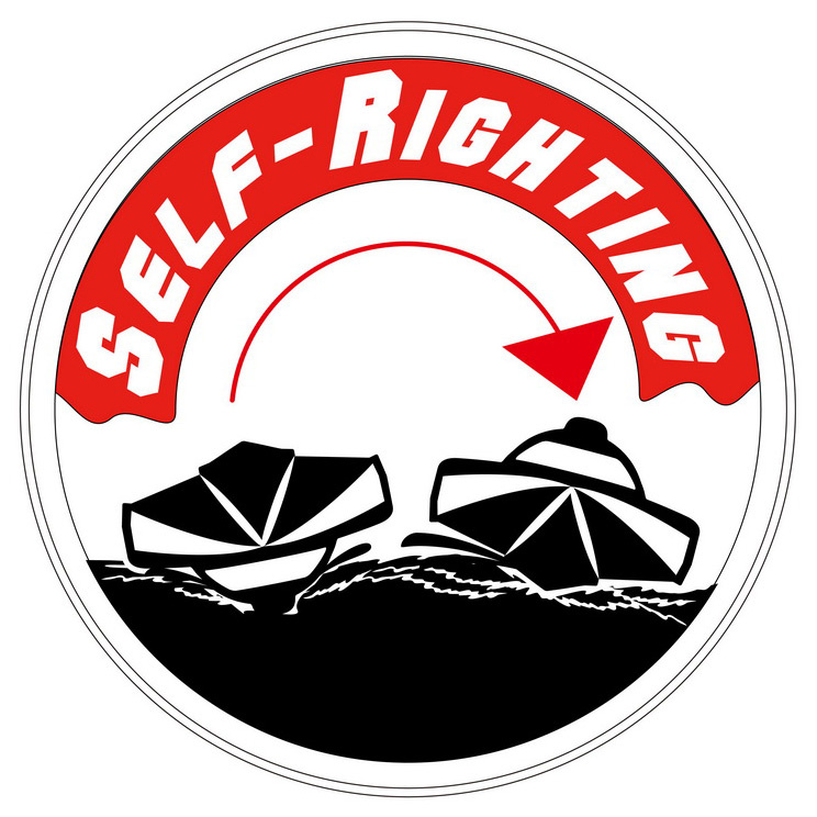 Joysway Mad Flow V3 F1 Katamaran Brushless & LiPo RTR