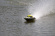 Joysway Alpha 1000mm Borstlös ARTR Gul Joysway Alpha 1000mm Borstlös ARTR Gul