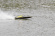Joysway Alpha 1000mm Borstlös ARTR Gul Joysway Alpha 1000mm Borstlös ARTR Gul