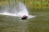 Joysway Alpha 1000mm Borstlös ARTR Gul Joysway Alpha 1000mm Borstlös ARTR Gul