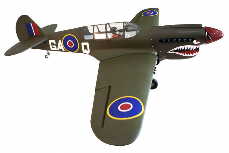 Seagull P-40N Warhawk Shark 38-61cc Gas 203cm ARF