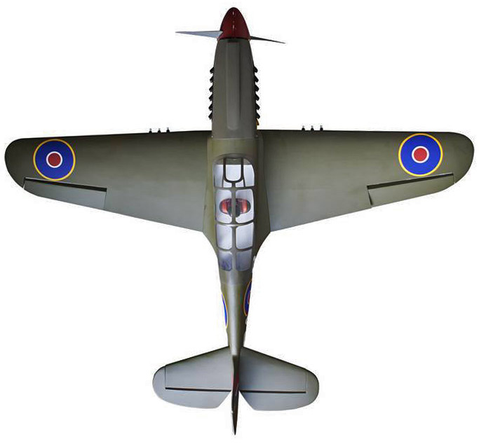 Seagull P-40N Warhawk Shark 38-61cc Gas 203cm ARF