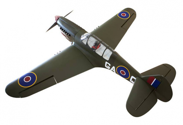 Seagull P-40N Warhawk Shark 38-61cc Gas 203cm ARF