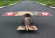 Seagull Morane-Sauinier A1 262cm 50-62cc Gas ARF Seagull Morane-Sauinier A1 262cm 50-62cc Gas ARF