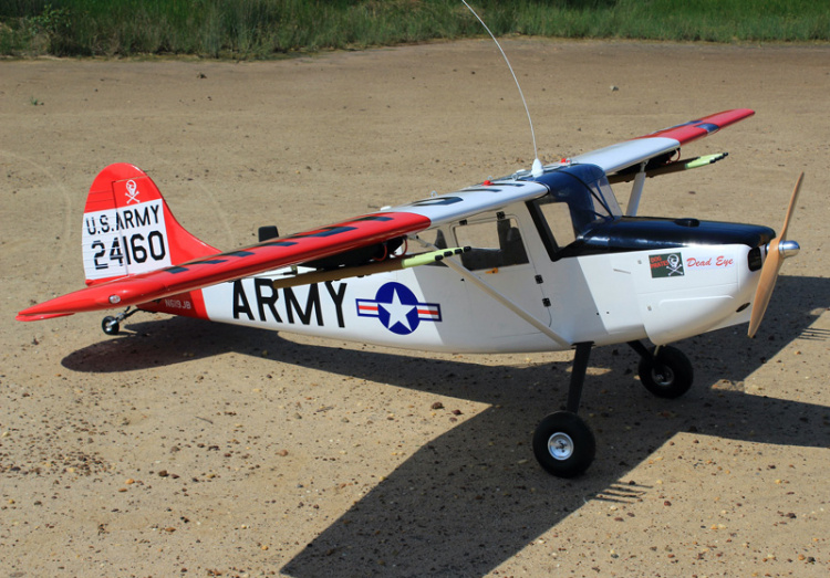 Seagull Giant Cessna Bird Dog 