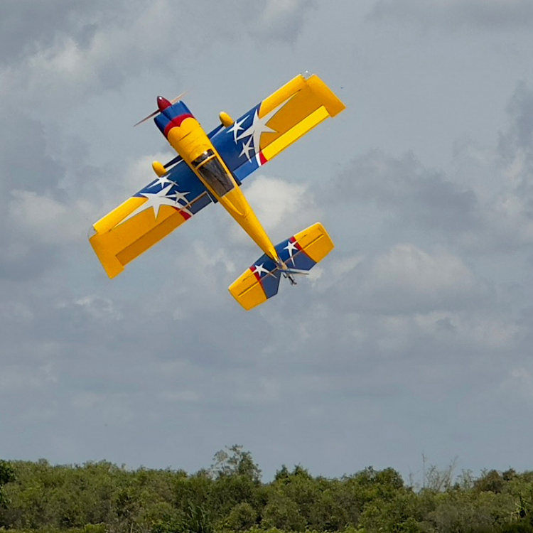 Seagull RV-8 180cm 35-40cc Bensin ARF