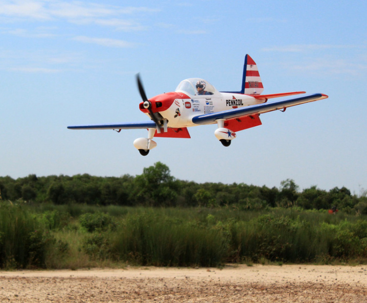 Seagull Art Scholl´s Super Chipmunk 160cm 15cc ARF