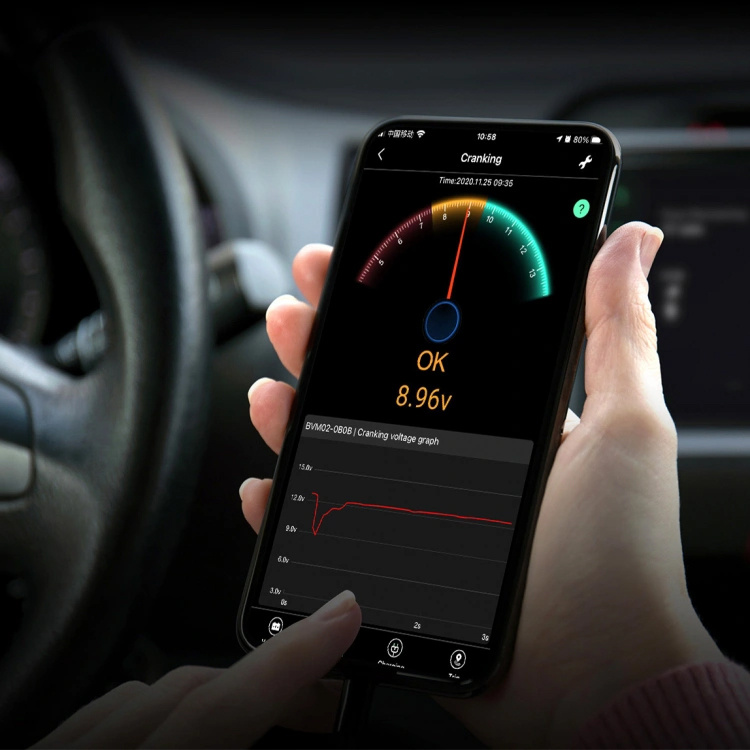 Xparkle Battery Sense BT 12/24V