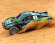 Traxxas Slash 4WD BL-2s 1/10 Grön Traxxas Slash 4WD BL-2s 1/10 Grön