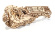 Ugears Hurdy-Gurdy Ugears Hurdy-Gurdy