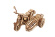 Ugears Hagrid´s Flying Motorbike Harry Potter Ugears Hagrid´s Flying Motorbike Harry Potter
