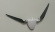 Propeller Set - F959S Propeller Set - F959S