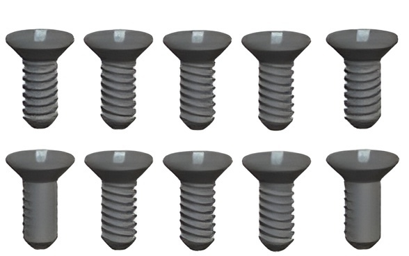 Phillips Skruv 2.6x8mm (10)