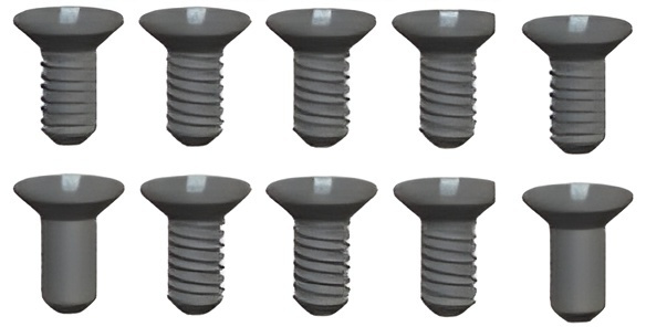 Phillips Skruv 2.6x12mm (10)